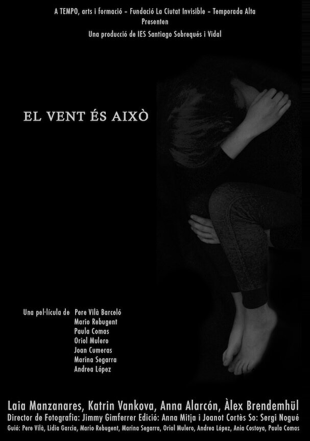 El vent és això (2018) постер