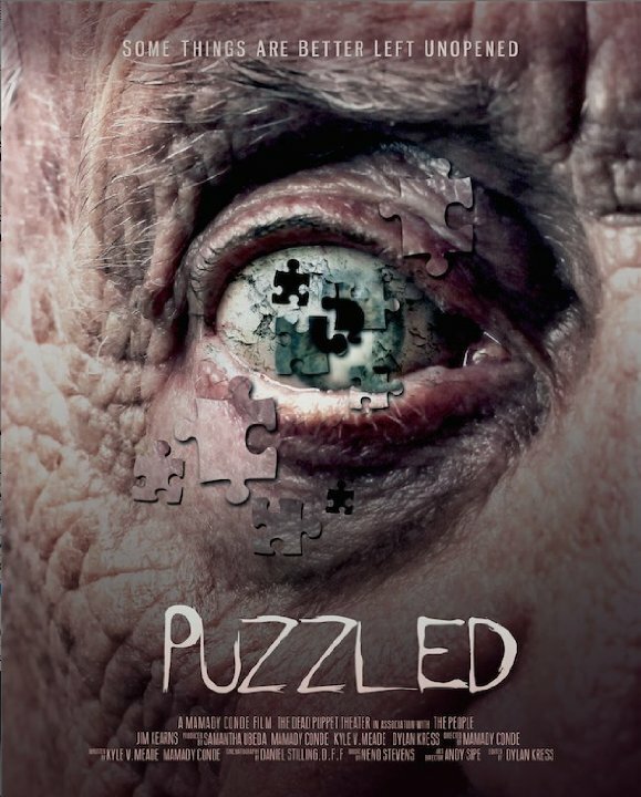 Puzzled (2014) постер