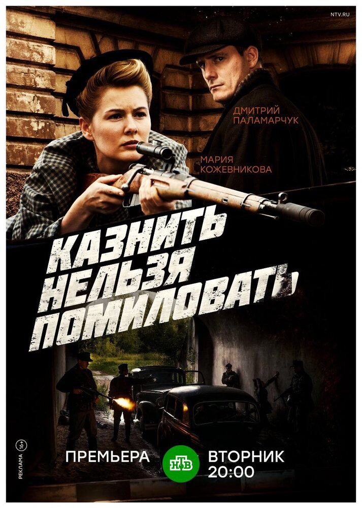 Казнить нельзя помиловать (2016) постер