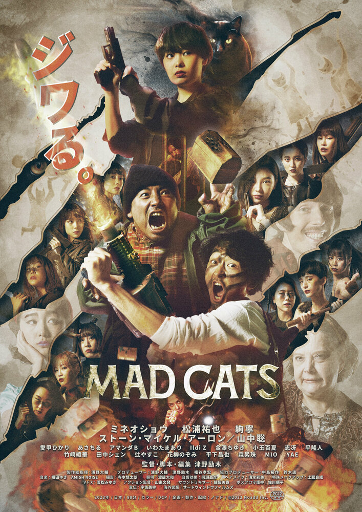 Бешеные кошки (2023) постер