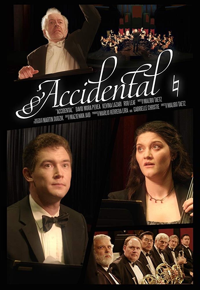 Accidental (2017) постер