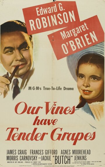 У нас растет нежный виноград (1945)