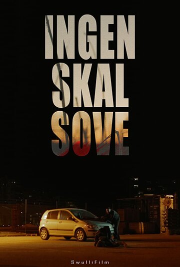 Ingen skal sove (2019)